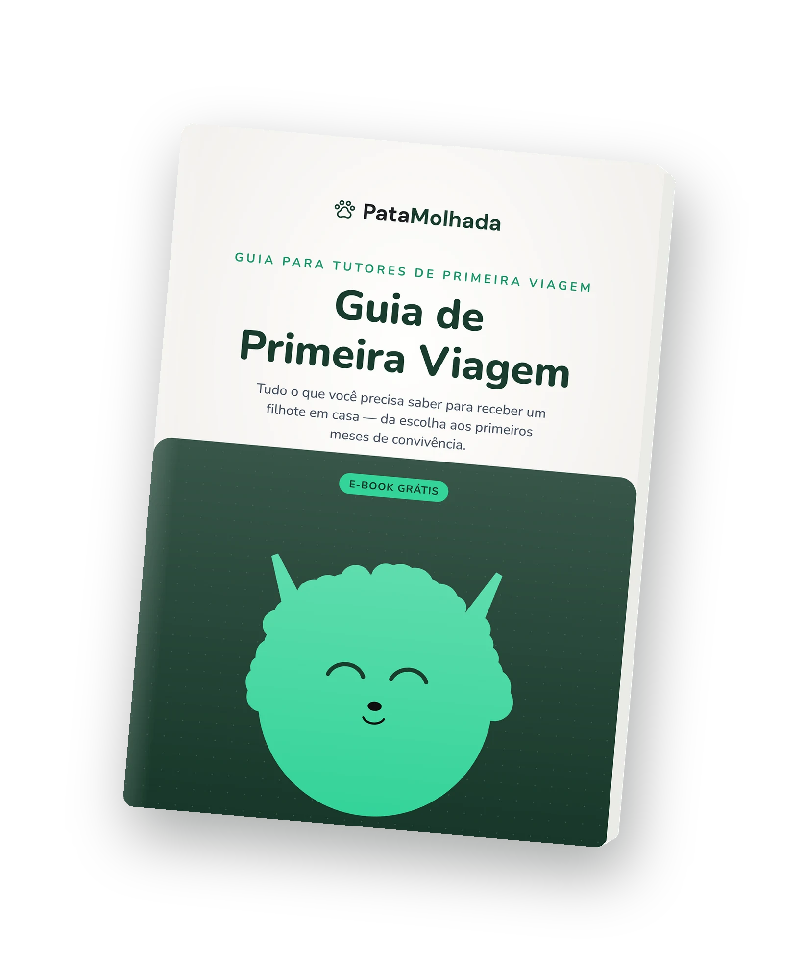 Capa do e-book Guia de Primeira Viagem